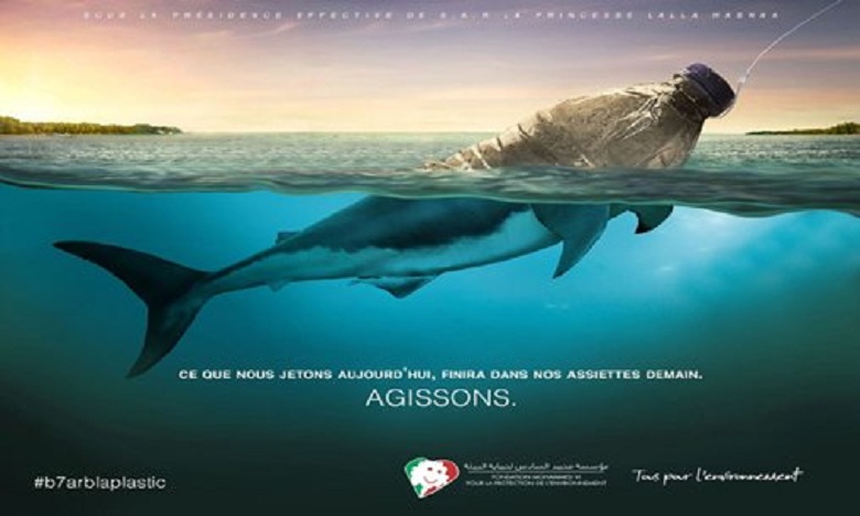 إطلاق عملية شواطئ نظيفة 2019 تحت شعار "بحر بلا بلاستيك"