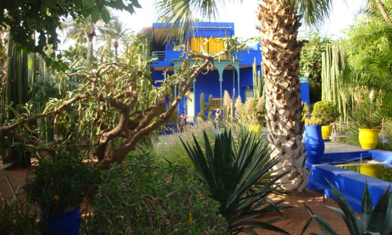 إعادة فتح حديقة ماجوريل في وجه عشاق فن الحدائق المغاربة والأجانب بعد إغلاق فرضته جائحة كورونا