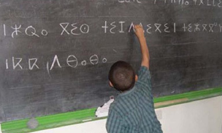 إعداد مشروع المنهاج الدراسي الجديد للغة الأمازيغية لسلك التعليم الابتدائي