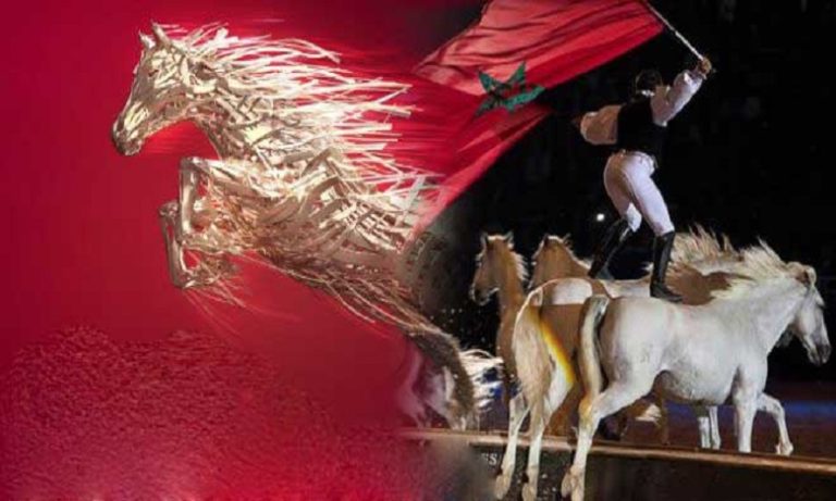 إلغاء الدورة 13 لمعرض الفرس بالجديدة بسبب فيروس كورونا المستجد