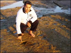 إمكانية اختفاء آثار أقدام الدينصورات المكتشفة بأكادير واردة الدكتور موسى مسرور يشير إلى آثار أقدام الدينصورات بمنطقة أنزا (خاص)