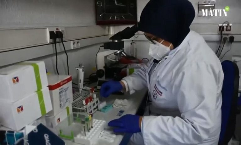 تصوير: الصديق