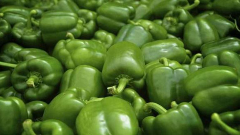 ارتفاع تكاليف الإنتاج وقلة التساقطات وراء ارتفاع أسعار الفلفل الأخضر (مديرية)