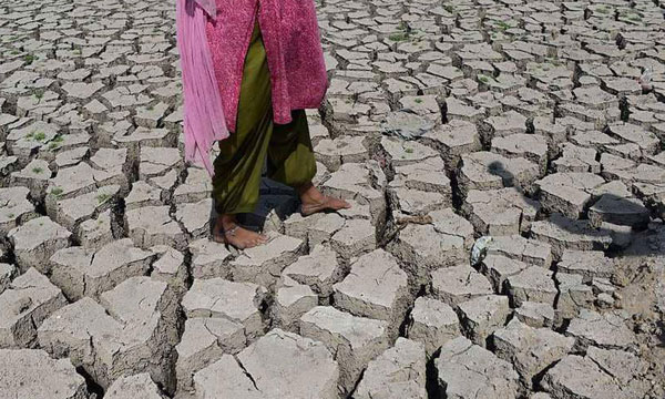 ارتفاع درجة الحرارة سيساهم في المجاعة والفقر والحكومات مطالبة بتدخل استعجالي