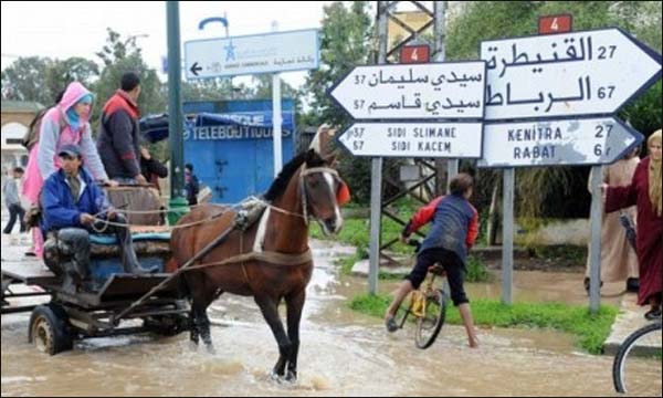 الأمطار تتلف المحاصيل وتتسبب في حوادث سير بجهة الغرب الأمطار تتلف المحاصيل وتتسبب في حوادث سير بجهة الغرب