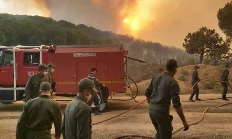 الأمطار تساهم في إخماد حريق غابوي كبير بإقليم وزان بعدما أتى على 4 هكتارات