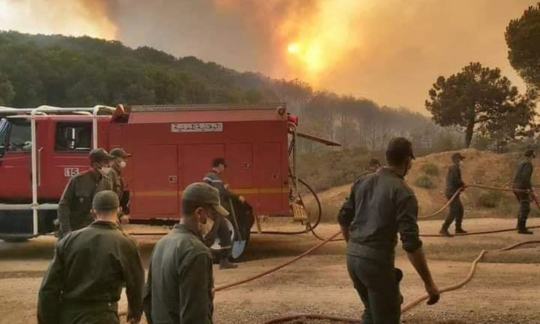 الأمطار تساهم في إخماد حريق غابوي كبير بإقليم وزان بعدما أتى على 4 هكتارات