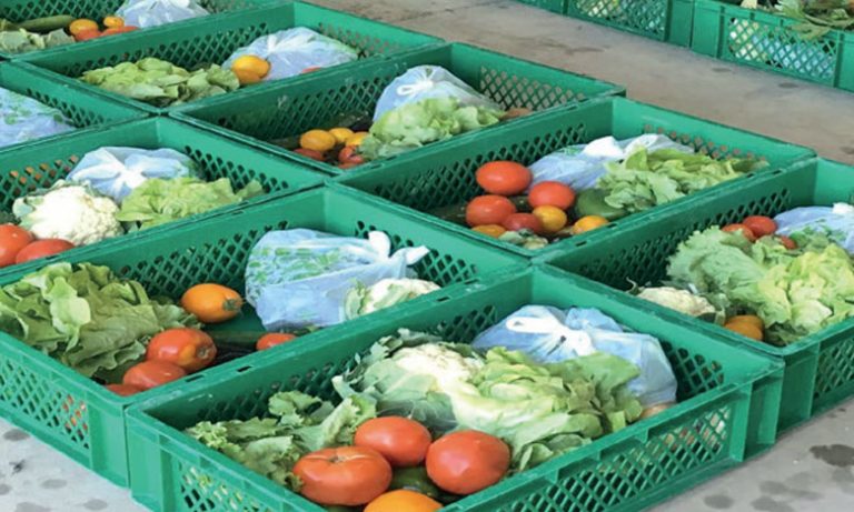 الإعلام الإسباني يؤكد محافظة المغرب على موقعه كأول مزود لأسواق إسبانيا بالخضر والفواكه