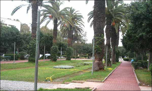 البيضاويون مدعوون إلى الاحتفال بحديقة الجامعة العربية