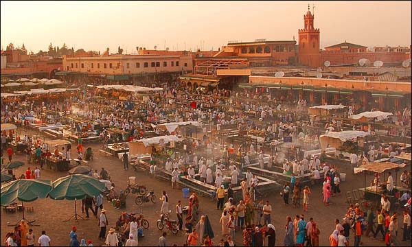 التأكيد على دور المجتمع المدني في ترسيخ الديمقراطية التشاركية