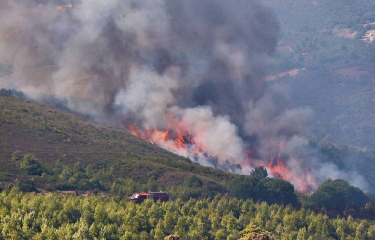 الجهود متواصلة برا وجوا للسيطرة على حريق غابوي بجماعة تاغرامت