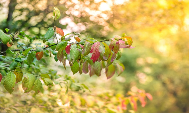 الحسين يوعابد لـ "الصحراء المغربية": ستشهد البلاد انخفاضا في درجة الحرارة ابتداء من الثلاثاء
