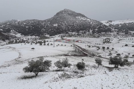 الحوز: توزيع 86.900 كلغ من حطب التدفئة على 66 مؤسسة تعليمية لمواجهة انخفاض درجات الحرارة