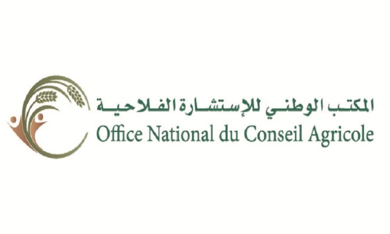 الرباط: مستخدمو مكتب الاستشارة الفلاحية يستعدون لمؤتمرهم الثاني