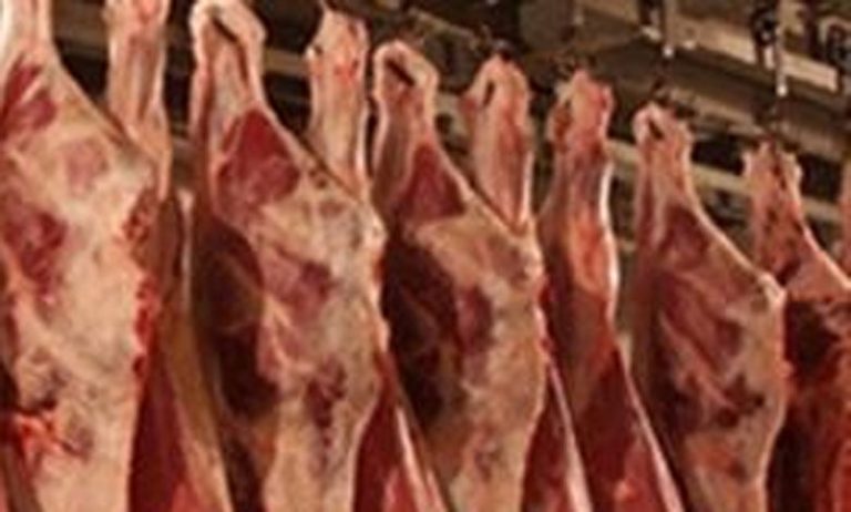 اللجنة الإقليمية بعمالة آسفي تداهم مخبأ للذبيحة السرية بجماعة بوكدرة