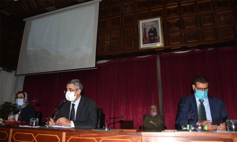 تصوير :الصديق