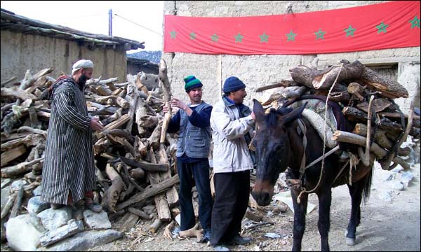 حطب التدفئة ضرورة مؤكدة بالأطلس (كايز)