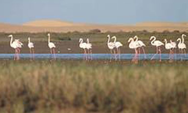 المغرب اختار سياسة المناطق المحمية.. إنشاء 10 منتزهات وطنية و154 موقعا ذا أهمية بيولوجية وإيكولوجية