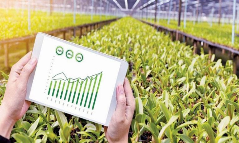 المغرب يحتل المرتبة الخامسة في برنامج "prima" أكبر برنامج للبحث والابتكار في المنطقة المتوسطية