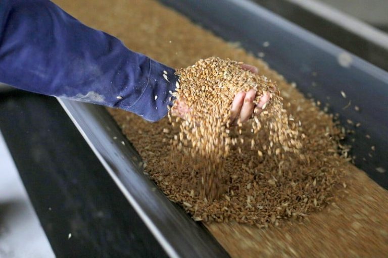 المغرب يخصص دعما للمهنيين لاستيراد 25 مليون قنطار من القمح في 4 أشهر