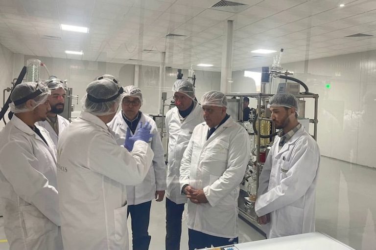 المغرب يقوم بإجراء أولى الاختبارات على استخلاص زيت القنب الهندي