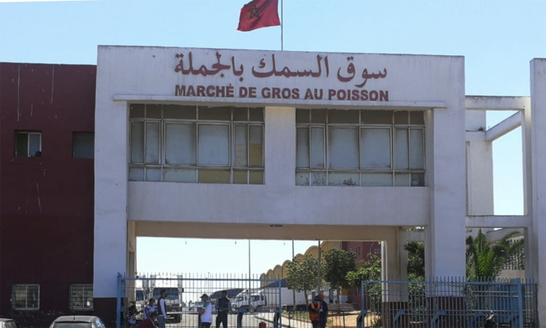 «الموفيتا» والراحة البيولوجية تلهبان أثمان بعض أنواع الأسماك