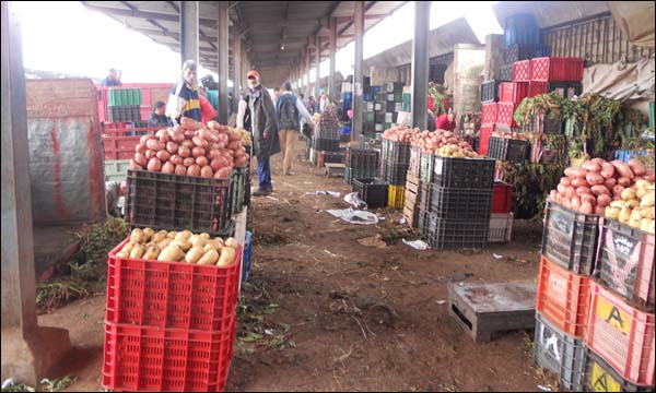 باعة الخضر بالبيضاء يربطون الغلاء بالصقيع والفيضانات
