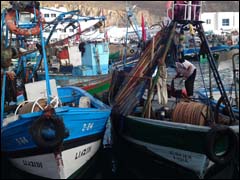 بحارة ممنوعون من رخصة الصيد بالحسيمة مستعدون للتحاور بواخر الصيد التقليدي ترسو بميناء الحسيمة