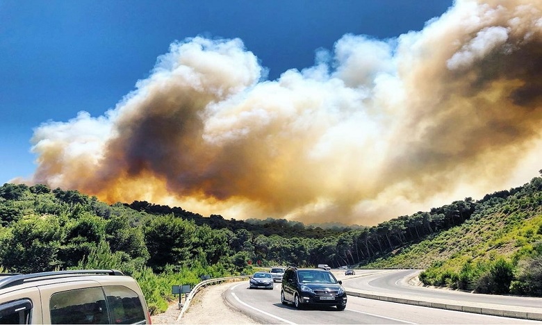 بعد تضرر ما يقارب 40 هكتارا من الغطاء الغابوي.. الجهود متواصلة لإخماد حريق غابة عين الحصن بتطوان