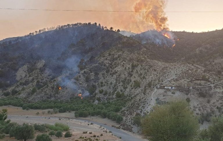 تازة.. تطويق حريق غابة مغراوة بنسبة 65 في المائة