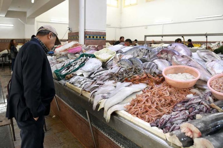 تجار السمك يطلبون خفض أسعار المحروقات لضمان تموين الأسواق في رمضان