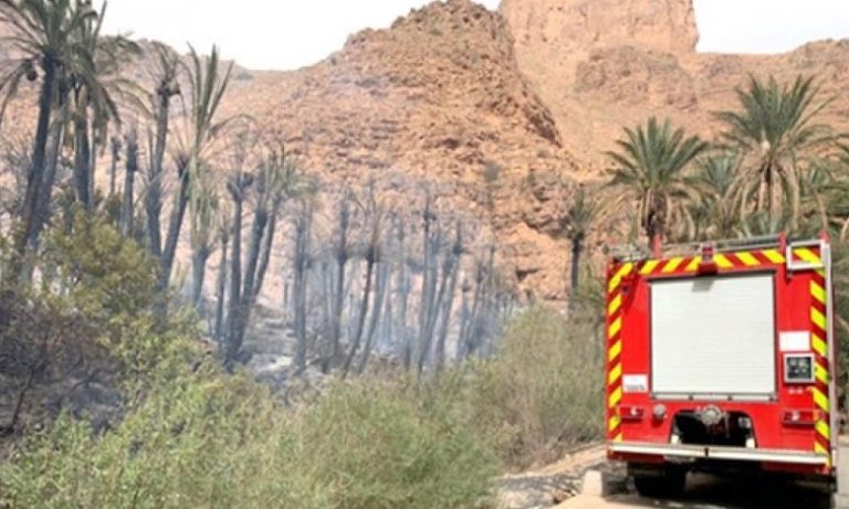 تزنيت: إخماد حريق في واحة آيت منصور قرب مدينة تافراوت