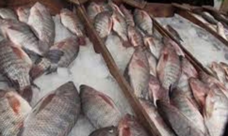 تسجيل انخفاض في أسعار الأسماك ببعض الأسواق الممتازة بسبب قلة الطلب