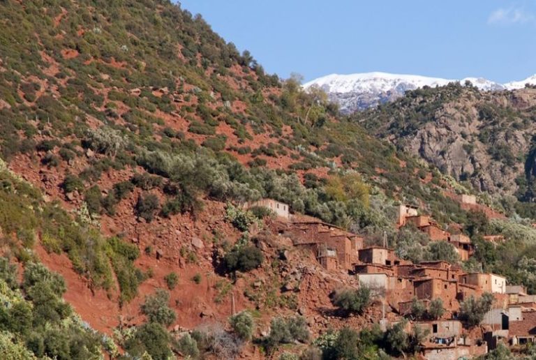 توقعات أحوال الطقس اليوم الثلاثاء..أجواء مستقرة وسماء صافية