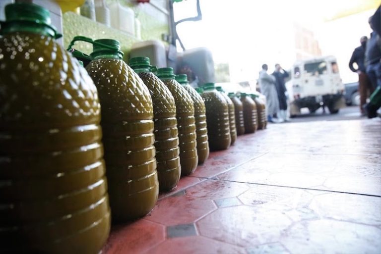 جمعيات تدعو إلى تشديد العقوبات تجاه مروّجي زيت الزيتون المغشوشة
