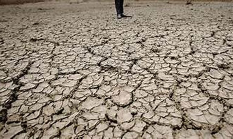 جمعية خريجي المدرسة الوطنية الغابوية للمهندسين تناقش إشكالية مكافحة التصحر والجفاف