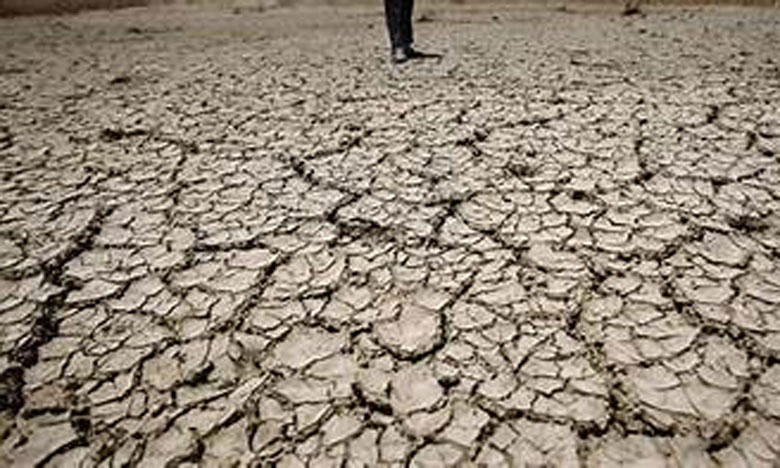 جمعية خريجي المدرسة الوطنية الغابوية للمهندسين تناقش إشكالية مكافحة التصحر والجفاف