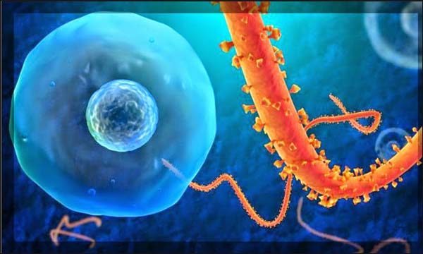 جمعية طبية توصي بتكثيف جهود التعريف بأمراض المناعة الذاتية جمعية طبية توصي بتكثيف جهود التعريف بأمراض المناعة الذاتية