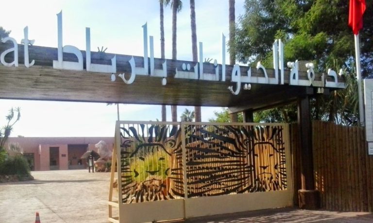 حديقة الحيوانات بالرباط تشهد أزيد من 80 ولادة وأصناف جديدة هذه السنة
