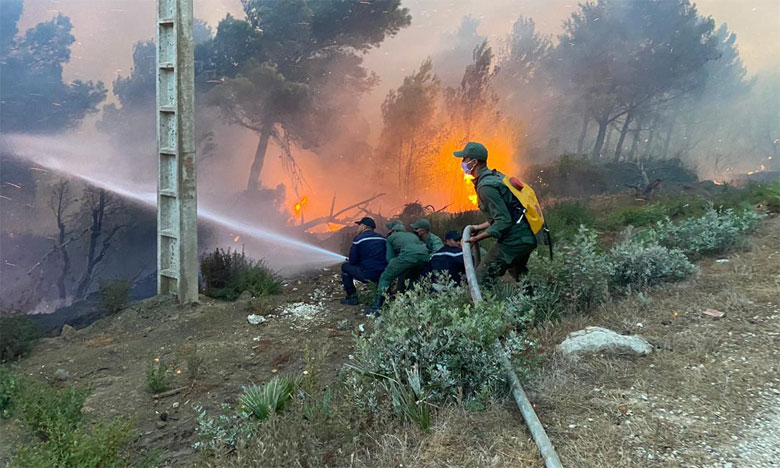 حرائق غابات الشمال تستنفر فرق الإنقاذ بعد تنامي وتيرة اشتعالها