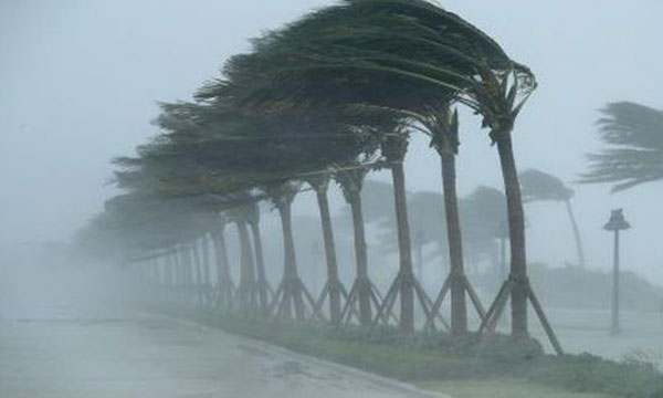 خبير دولي في الهندسة البيئية يدعو إلى إحداث خلية لليقظة وتدبير الكوارث بالمغرب