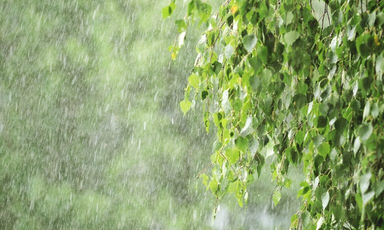 زخات رعدية قوية وطقس حار بعدد من المناطق