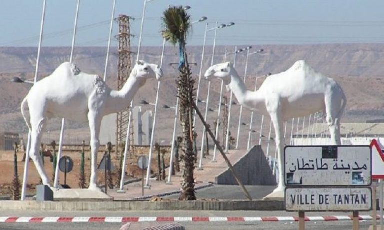 ستساهم في التطوير الاقتصادي والمعرفي.. إحداث نواة جامعية بطانطان بغلاف مالي يبلغ 80 مليون درهم