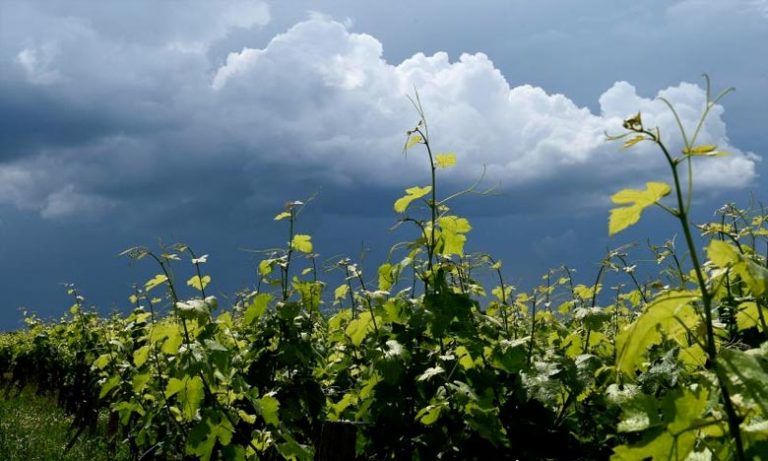 سحب غير مستقرة مرفوقة بزخات مطرية ورعد طوال اليوم