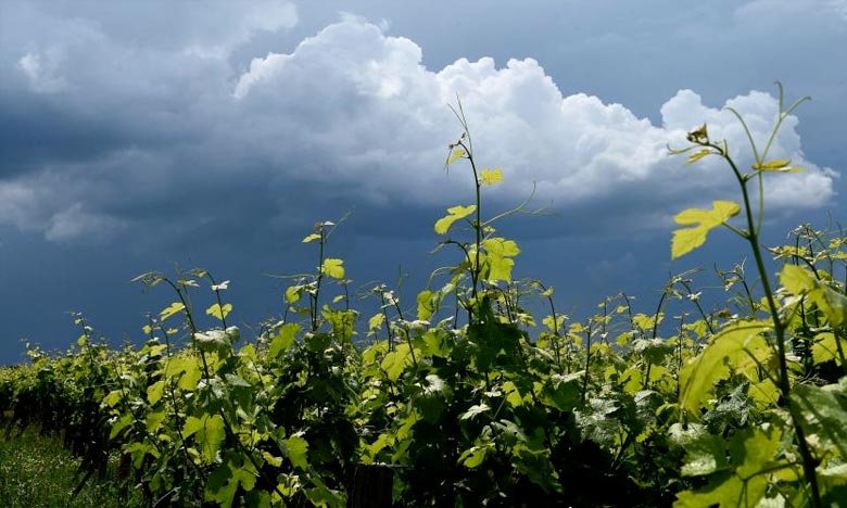 سحب غير مستقرة مرفوقة بزخات مطرية ورعد طوال اليوم