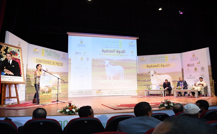 سطات تحتضن الدورة الثانية للمعرض الوطني المهني للصردي