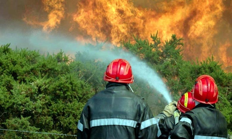 شفشاون: حريق يأتي على حوالي 300 هكتار من الغطاء الغابوي