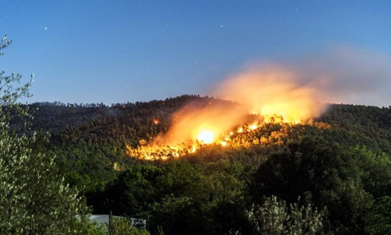 طنجة: السيطرة على حريق أتى على 36 هكتارا من الغابة الدبلوماسية