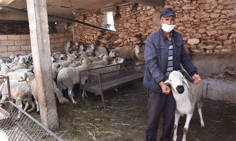 تصوير: هشام الصديق