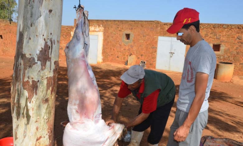 عيد الأضحى: "أونسا" اتخذ مجموعة من التدابير لتهيئة مرور العيد في أحسن الظروف